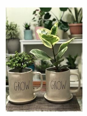 NEW Rae Dunn Grow Mug Shaped Planter